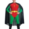 Rubies Robin Men's Costume
