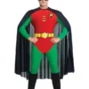 Rubies Robin Costume For Adults Mens