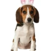 Rubies Bunny Ears Accessory For Pets