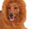 Rubies Lion's Mane Deluxe Pet Costume 2 Rubies Lion's Mane Deluxe Pet Costume