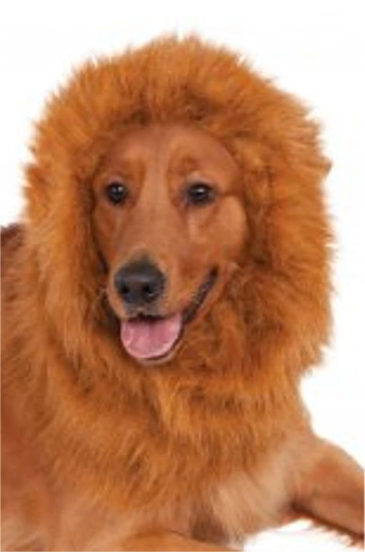 Rubies Lion's Mane Deluxe Pet Costume 3 Rubies Lion's Mane Deluxe Pet Costume
