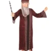 Rubies Professor Dumbledore Children's Book Week Harry Potter Costume Buy Costumes