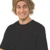 Rubies Willy Wonka Wig For Adults