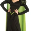Rubies Wizard Of Oz Wicked Witch Of The West Adult Deluxe Costume Womens