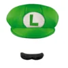 Disguise Super Mario Bros Luigi Hat And Moustache Kit Mens