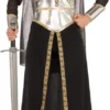 Rubies Warrior Medieval Women's Costume For Adults