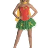 Rubies Womens Robin Secret Wishes Corset And Skirt Costume Set For Women