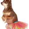 Rubies Rainbow Pet Tutu Accessory Buy Costumes