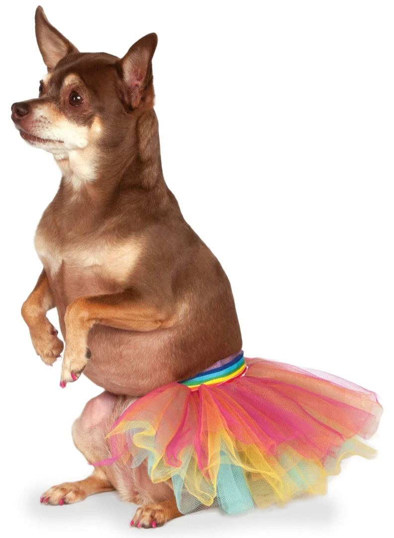 Rubies Rainbow Pet Tutu Accessory Buy Costumes 3 Rubies Rainbow Pet Tutu Accessory Buy Costumes