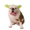 Rubies Buy Costumes Yoda Headband For Dogs 2 Rubies Buy Costumes Yoda Headband For Dogs