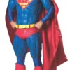 Rubies Superman Collectors Edition Adult Costume Mens