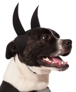 Rubies Batman Pet Costume Buy Costumes