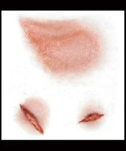 Tinsley Transfers Beaten Up Halloween Costume Makeup 3D FX Transfers Buy Costumes