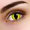 ColourVue Cat Eye Contact Lenses Multi Use Halloween Contacts Womens 2 ColourVue Cat Eye Contact Lenses Multi Use Halloween Contacts Womens