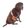 Rubies Chewbarka Dog Costume