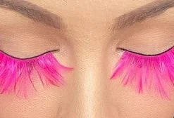 Carnival Products Womens Feathers False Eyelashes Long Pink