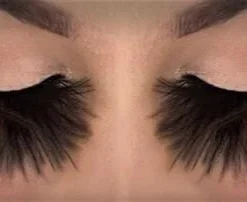 Carnival Products Womens Fluffy Eyelashes Brown And Black