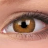 ColourVue Buy Costumes Hazel Coloured Contact Lenses Trueblends