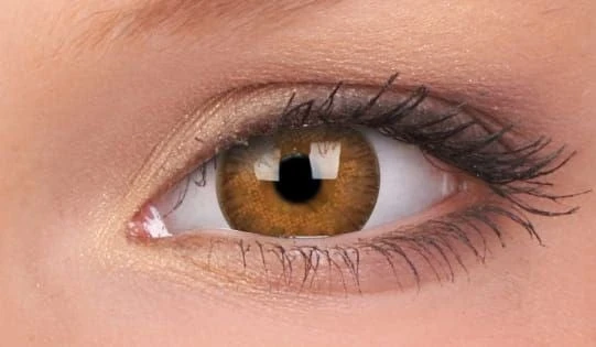 ColourVue Buy Costumes Hazel Coloured Contact Lenses Trueblends 3 ColourVue Buy Costumes Hazel Coloured Contact Lenses Trueblends