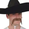 Carnival Products Mexican Brown Moustache Western Cowboy Bandit Costume Mo Mens