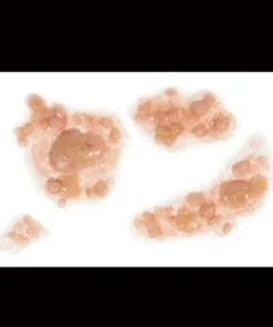 Tinsley Transfers Outbreak 3D FX Transfers