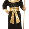 Tomfoolery Pharaoh Adult Costume 2 Tomfoolery Pharaoh Adult Costume