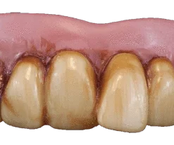 Sweidas Buy Costumes Pirate False Costume Pearl Teeth