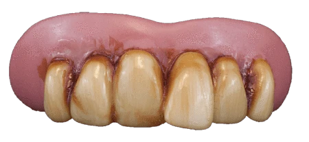 Sweidas Buy Costumes Pirate False Costume Pearl Teeth 4 Sweidas Buy Costumes Pirate False Costume Pearl Teeth