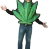 Tomfoolery Womens Pot Leaf Costume
