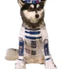 Rubies DR22 Star Wars Licensed Pet Dog Costume