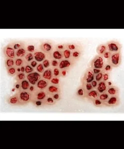 Tinsley Transfers Buy Costumes Trypophobia 3D FX Transfers