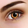 ColourVue Vampire Halloween Contact Lenses Twilight Multi Use Contacts