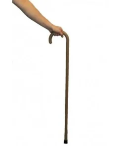 Sweidas Waldo Plastic Cane Buy Costumes