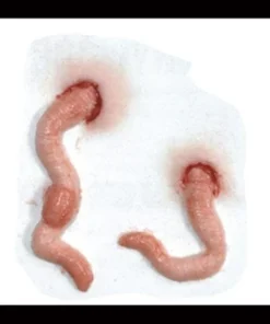 Tinsley Transfers Worm 3D SFX Halloween Makeup Transfer