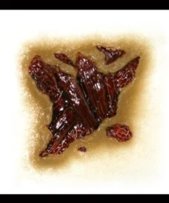 Tinsley Transfers Buy Costumes Zombie Gore Halloween Costume Makeup 3D FX Transfers