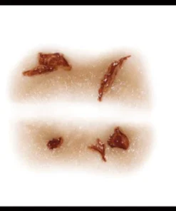 Tinsley Transfers Zombie Lips Makeup Halloween Costume Party 3D FX Transfers Buy Costumes