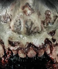 Tinsley Transfers Zombie Missing Jaw Halloween Costume Makeup 3D FX Transfers Buy Costumes