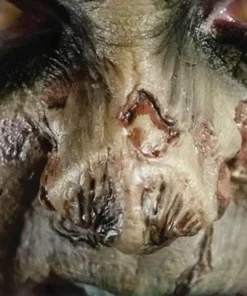 Tinsley Transfers Zombie Nose Horror 3D FX Transfers Halloween Costume Makeup Buy Costumes