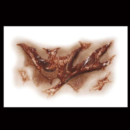 Tinsley Transfers Buy Costumes Zombie Torn Throat Scar Halloween Horror Makeup 3D FX Transfers 4 Tinsley Transfers Buy Costumes Zombie Torn Throat Scar Halloween Horror Makeup 3D FX Transfers