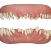 Tinsley Transfers Invasion FX Teeth Veneers Costume Fangs Monsters Halloween