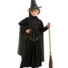 Rubies Wicked Witch Of The West Wizard Of Oz Children's Costume 1 Rubies Wicked Witch Of The West Wizard Of Oz Children's Costume
