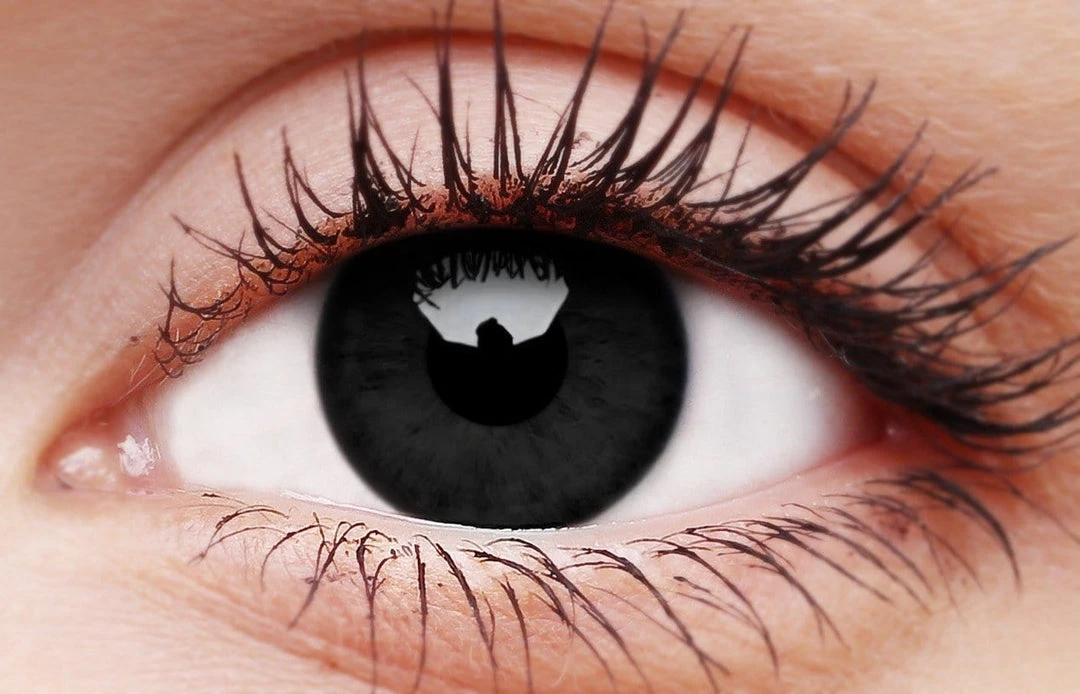 ColourVue Blackout 1 YEAR Coloured Contact Lenses 3 ColourVue Blackout 1 YEAR Coloured Contact Lenses