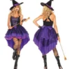 Disguises Witch Broomstick Babe Womens Costume Hire