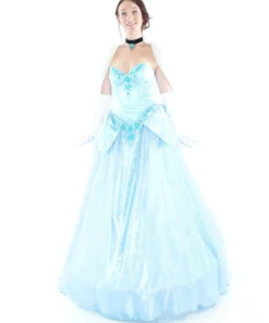 Leg Avenue Cinderella Deluxe Limited Edition Adult Princess Hire Costume Womens