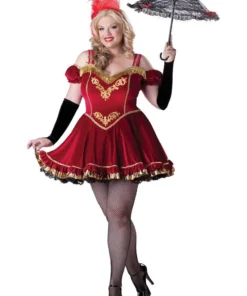In Character Circus Star Womens Plus Size Hire Costume