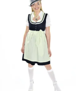 Disguises Womens Rustic Traditional Oktoberfest German Beer Girl Costume Dirndl