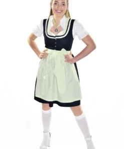 Disguises Womens Rustic Traditional Oktoberfest German Beer Girl Costume Dirndl