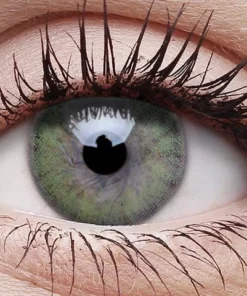 ColourVue Fresh Green Contact Lenses