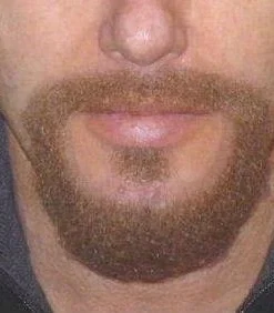 Carnival Products Beard And Mo Brown Short False Costume Moustache And Beard