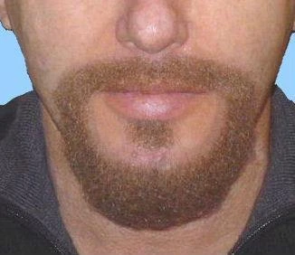 Carnival Products Beard And Mo Brown Short False Costume Moustache And Beard 3 Carnival Products Beard And Mo Brown Short False Costume Moustache And Beard